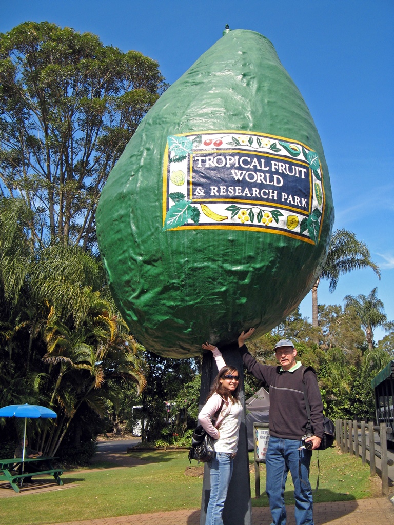 Connie and Bob and Giant Avocado